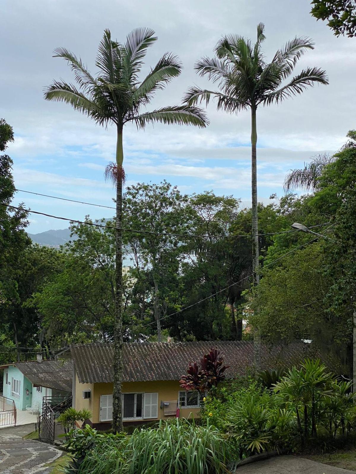 ホテル Recanto Floripa フロリアノポリス エクステリア 写真